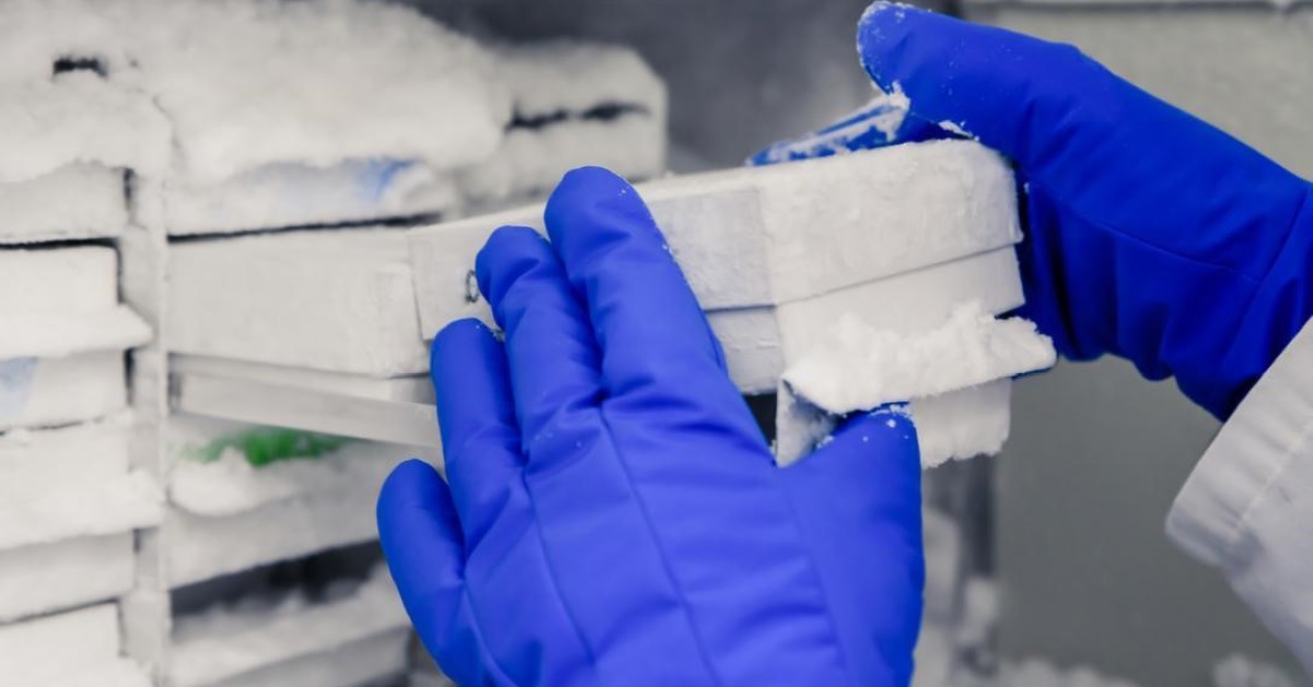 The Extreme Temperatures Of Ultra Freezers And Their Impact On Research Wordon Tech 